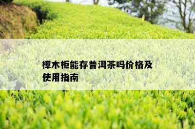 樟木柜能存普洱茶吗价格及使用指南