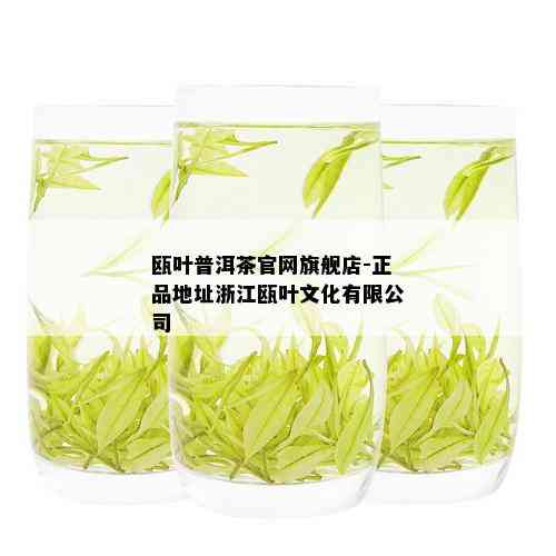 瓯叶普洱茶官网旗舰店-正品地址浙江瓯叶文化有限公司