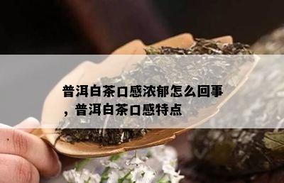 普洱白茶口感浓郁怎么回事，普洱白茶口感特点