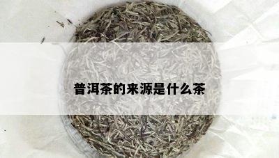 普洱茶的来源是什么茶