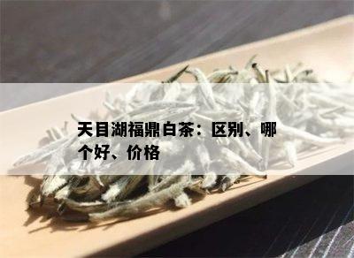 天目湖福鼎白茶：区别、哪个好、价格