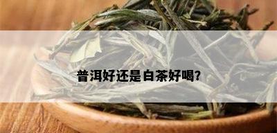 普洱好还是白茶好喝？