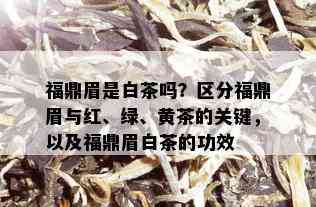 福鼎眉是白茶吗？区分福鼎眉与红、绿、黄茶的关键，以及福鼎眉白茶的功效