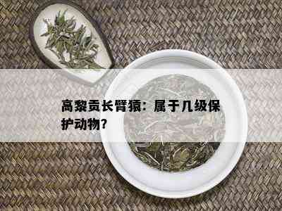 高黎贡长臂猿：属于几级保护动物？