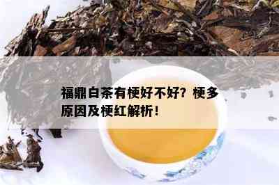 福鼎白茶有梗好不好？梗多原因及梗红解析！