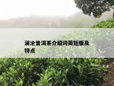 澜沧普洱茶介绍词简短版及特点