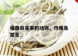 福鼎白茶茶的功效、作用及禁忌