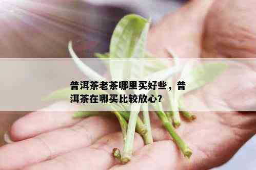 普洱茶老茶哪里买好些，普洱茶在哪买比较放心？