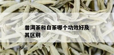 普洱茶和白茶哪个功效好及其区别