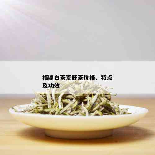 福鼎白茶荒野茶价格、特点及功效