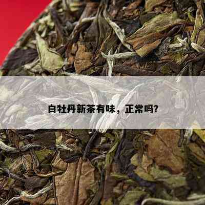 白牡丹新茶有味，正常吗？