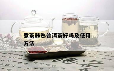 煮茶器熟普洱茶好吗及使用方法