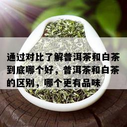 通过对比了解普洱茶和白茶到底哪个好，普洱茶和白茶的区别，哪个更有品味