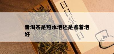 普洱茶是热水泡还是煮着泡好