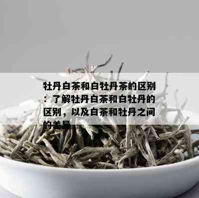 牡丹白茶和白牡丹茶的区别：了解牡丹白茶和白牡丹的区别，以及白茶和牡丹之间的差异