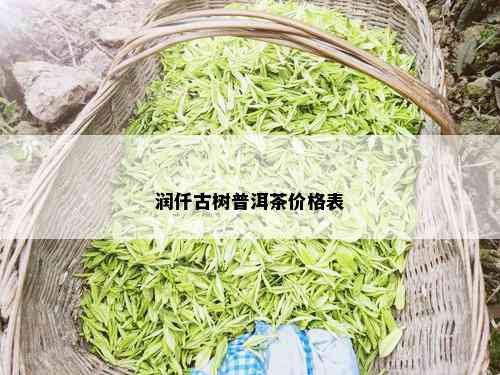 润仟古树普洱茶价格表