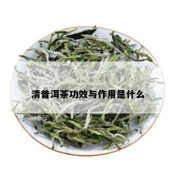 清普洱茶功效与作用是什么