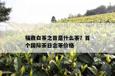 福鼎白茶之首是什么茶？首个国际茶日念茶价格