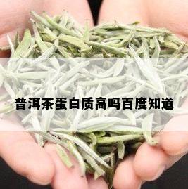 普洱茶蛋白质高吗百度知道