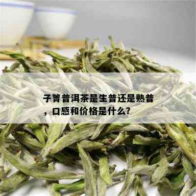 子箐普洱茶是生普还是熟普，口感和价格是什么？