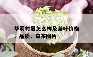 华羽村眉怎么样及茶叶价格、品质、白茶图片