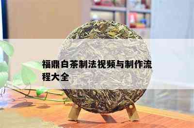 福鼎白茶制法视频与制作流程大全