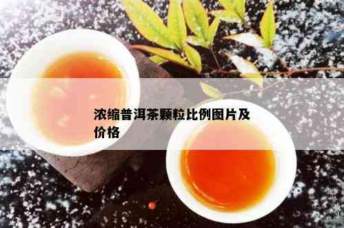 浓缩普洱茶颗粒比例图片及价格