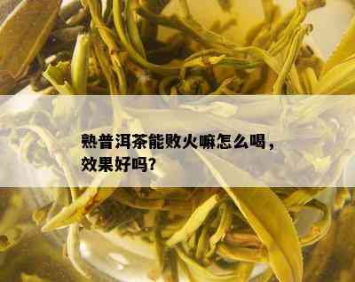 熟普洱茶能败火嘛怎么喝，效果好吗？