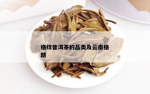 格纹普洱茶的品类及云南格朗