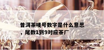 普洱茶唛号数字是什么意思，尾数1到9对应茶厂