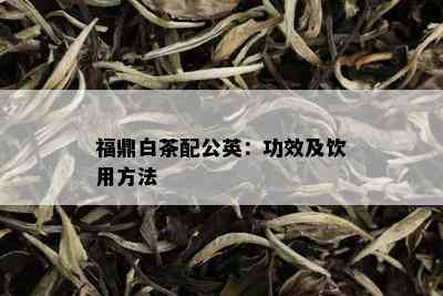 福鼎白茶配公英：功效及饮用方法