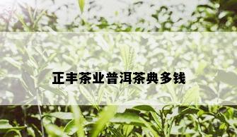 正丰茶业普洱茶典多钱