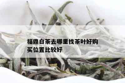 福鼎白茶去哪里找茶叶好购买位置比较好