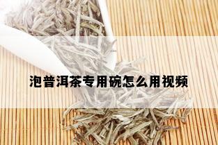 泡普洱茶专用碗怎么用视频