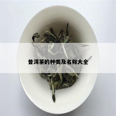 普洱茶的种类及名称大全