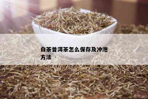 白茶普洱茶怎么保存及冲泡方法