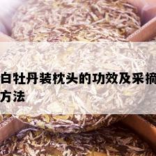 白牡丹装枕头的功效及采摘方法