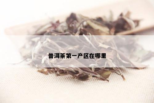 普洱茶之一产区在哪里