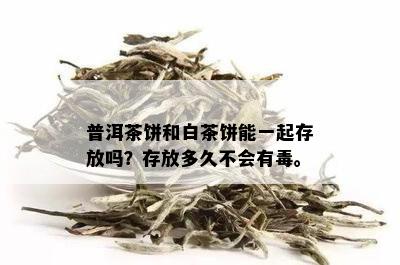 普洱茶饼和白茶饼能一起存放吗？存放多久不会有。