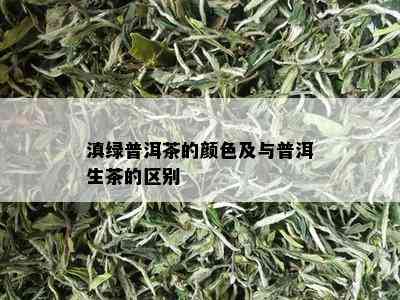 滇绿普洱茶的颜色及与普洱生茶的区别