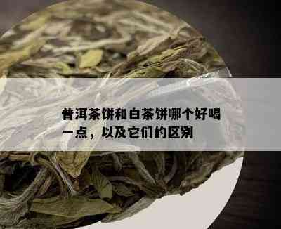 普洱茶饼和白茶饼哪个好喝一点，以及它们的区别