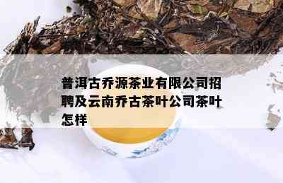 普洱古乔源茶业有限公司招聘及云南乔古茶叶公司茶叶怎样