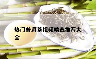 热门普洱茶视频精选推荐大全