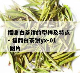 福鼎白茶饼的型样及特点 - 福鼎白茶饼yx-01 图片