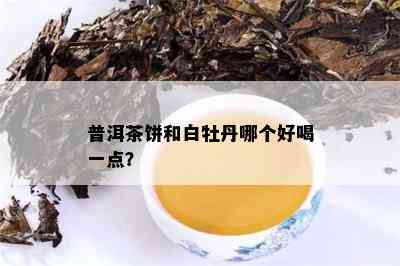 普洱茶饼和白牡丹哪个好喝一点？