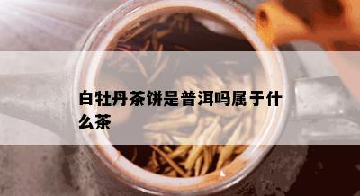 白牡丹茶饼是普洱吗属于什么茶