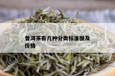 普洱茶有几种分类标准图及价格