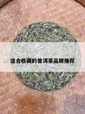 适合收藏的普洱茶品牌推荐