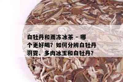 白牡丹和雨冻冰茶 - 哪个更好喝？如何分辨白牡丹羽霓、多肉冰玉和白牡丹？