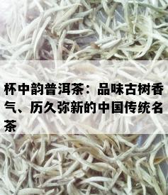 杯中韵普洱茶：品味古树香气、历久弥新的中国传统名茶